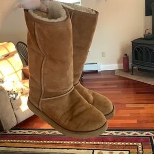 Tall Classic Chesnut UGGs